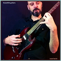 Beautiful Guitars by Sean Luciw